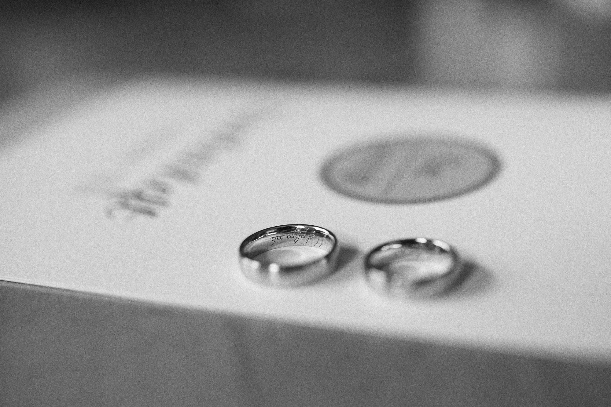 greenery-wedding-hochzeit-prielhof-sukkulenten-scheyern-lauraelenaphotography-009