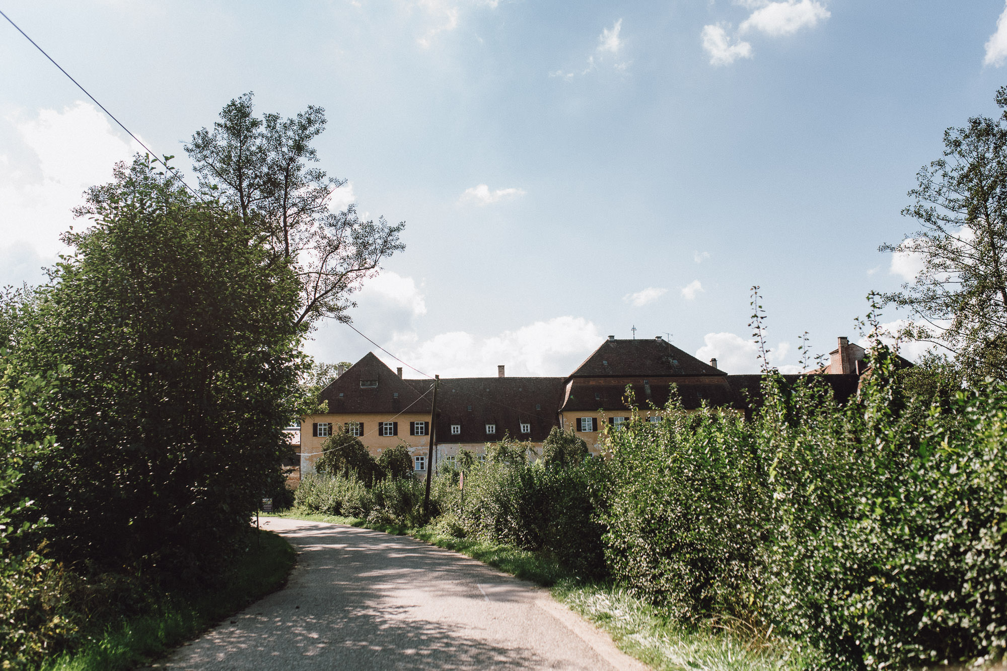 greenery-wedding-hochzeit-prielhof-sukkulenten-scheyern-lauraelenaphotography-061