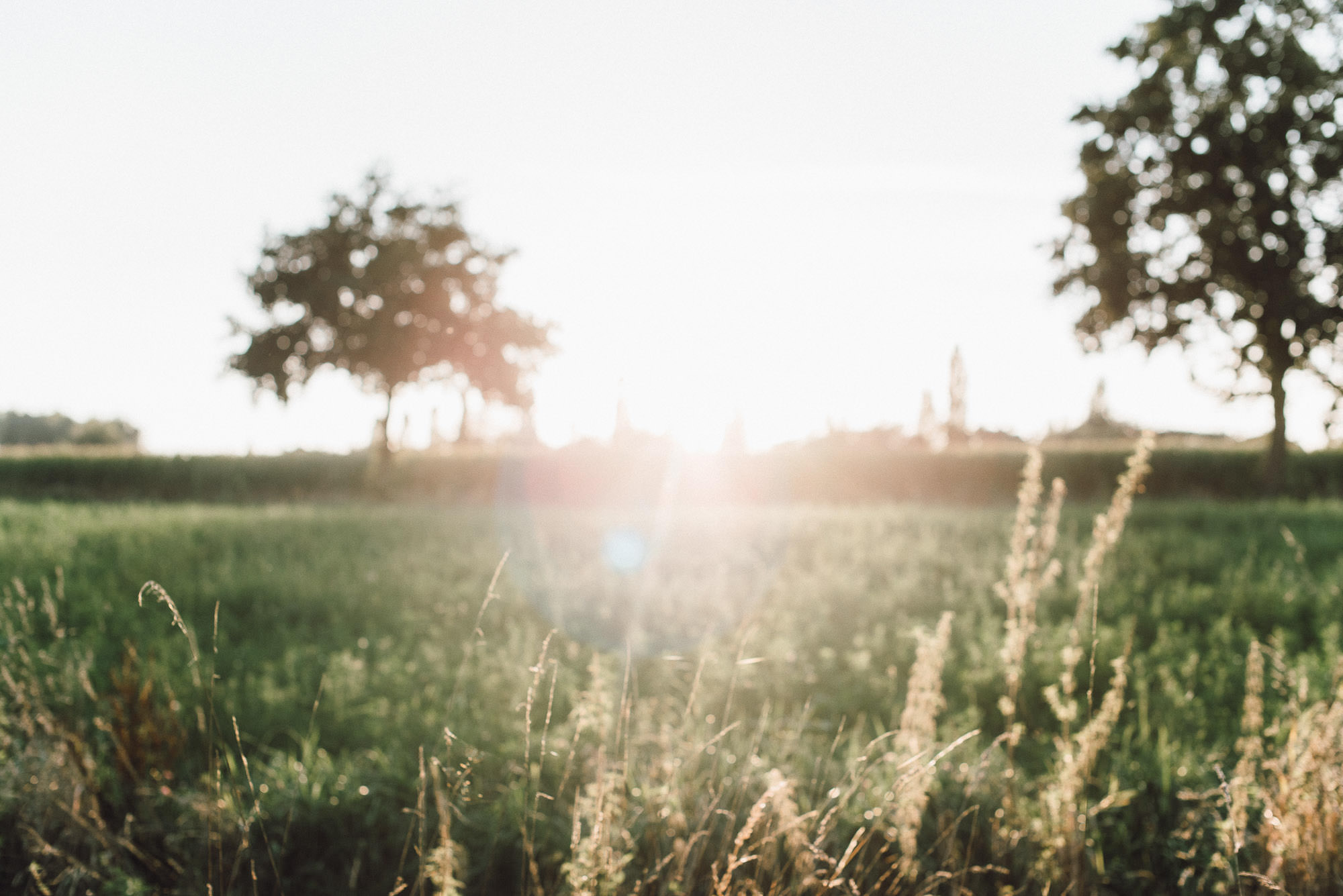 greenery-wedding-hochzeit-prielhof-sukkulenten-scheyern-lauraelenaphotography-077